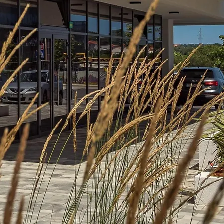 Апартаменти Cozy And Elegant