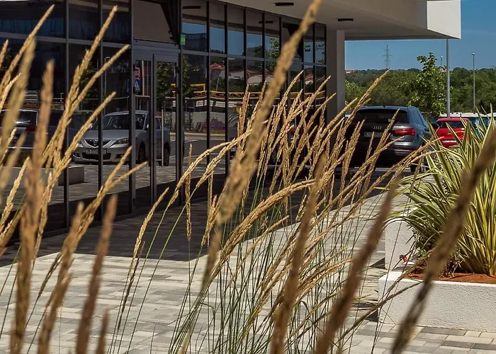 Apartment Cozy And Elegant