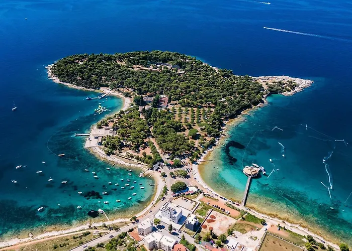 Apartment Cozy And Elegant