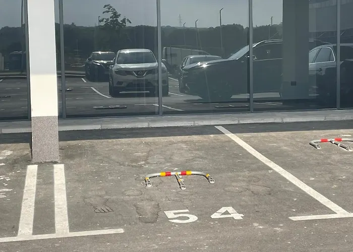 Apartment Cozy And Elegant *